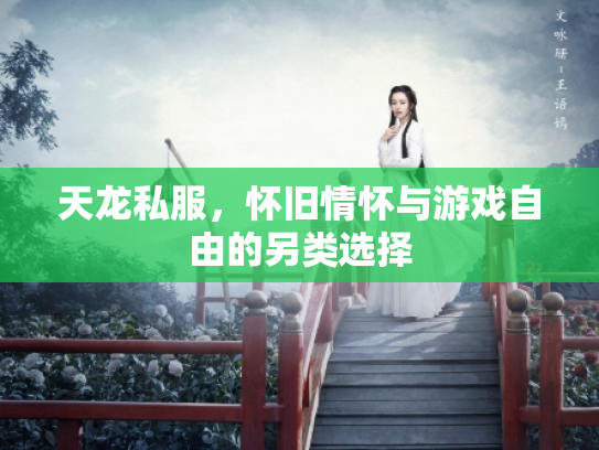 天龙私服，怀旧情怀与游戏自由的另类选择