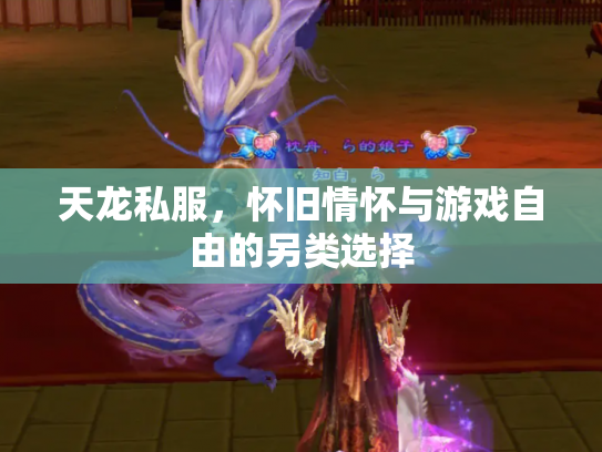 天龙私服，怀旧情怀与游戏自由的另类选择