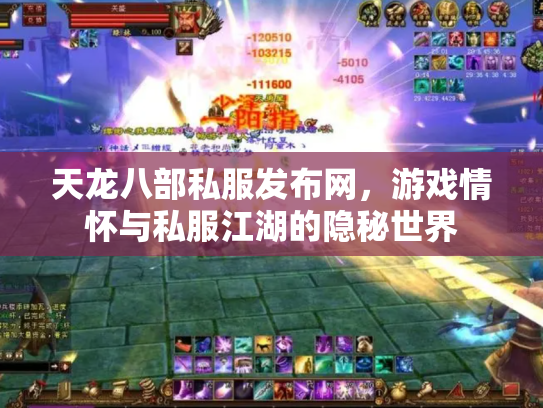 天龙八部私服发布网，游戏情怀与私服江湖的隐秘世界
