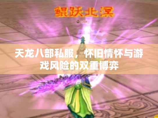 天龙八部私服，怀旧情怀与游戏风险的双重博弈