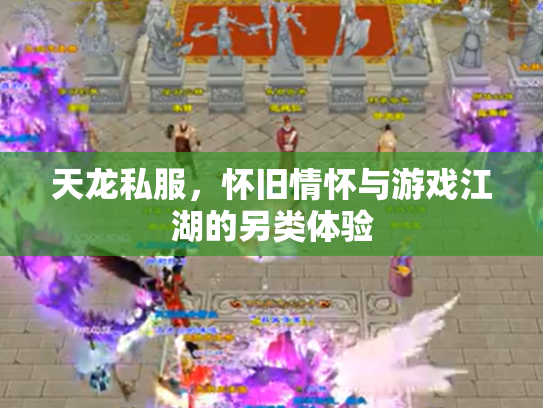 天龙私服，怀旧情怀与游戏江湖的另类体验