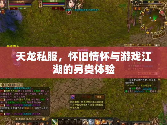 天龙私服，怀旧情怀与游戏江湖的另类体验