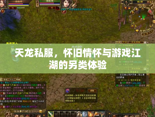 天龙私服，怀旧情怀与游戏江湖的另类体验