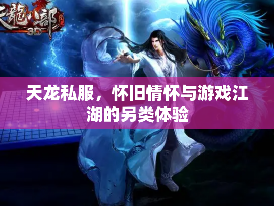 天龙私服，怀旧情怀与游戏江湖的另类体验