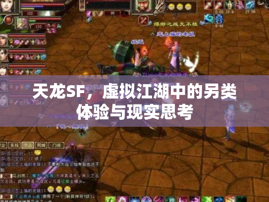 天龙SF，虚拟江湖中的另类体验与现实思考