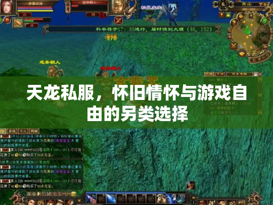 天龙私服，怀旧情怀与游戏自由的另类选择