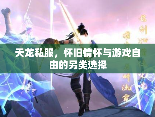 天龙私服，怀旧情怀与游戏自由的另类选择