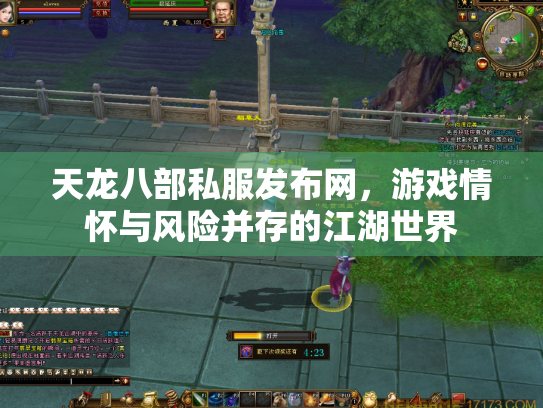 天龙八部私服发布网，游戏情怀与风险并存的江湖世界