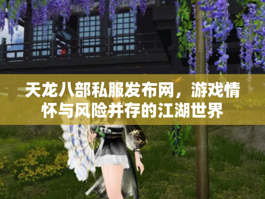 天龙八部私服发布网，游戏情怀与风险并存的江湖世界