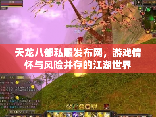 天龙八部私服发布网，游戏情怀与风险并存的江湖世界