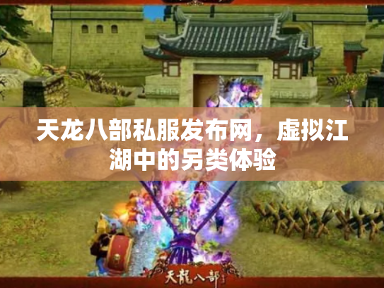 天龙八部私服发布网，虚拟江湖中的另类体验