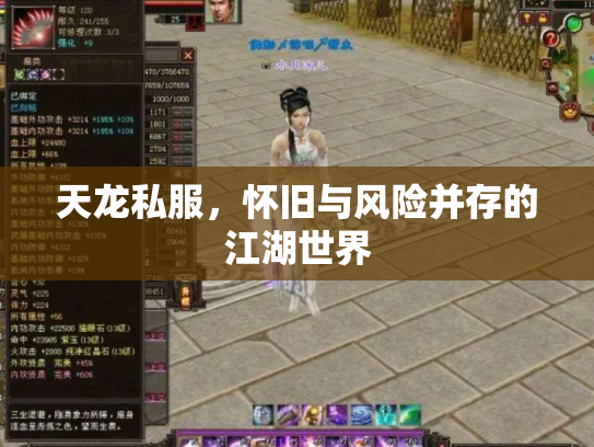 天龙私服，怀旧与风险并存的江湖世界
