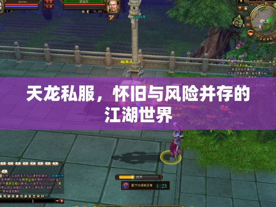 天龙私服，怀旧与风险并存的江湖世界