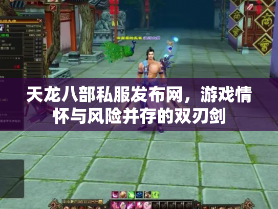 天龙八部私服发布网，游戏情怀与风险并存的双刃剑