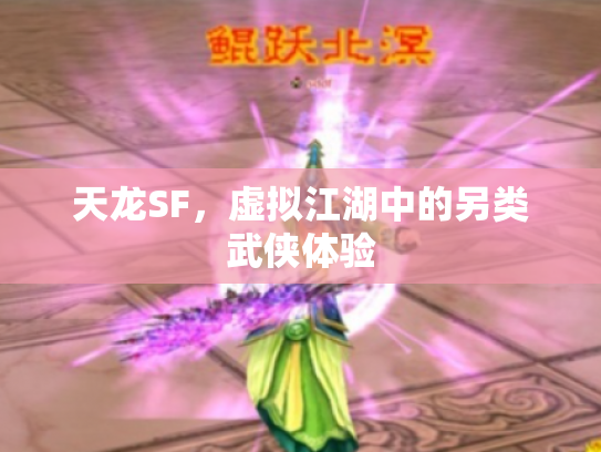 天龙SF，虚拟江湖中的另类武侠体验