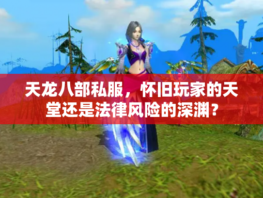 天龙八部私服，怀旧玩家的天堂还是法律风险的深渊？