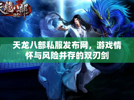天龙八部私服发布网，游戏情怀与风险并存的双刃剑