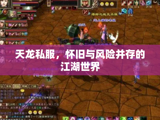 天龙私服，怀旧与风险并存的江湖世界