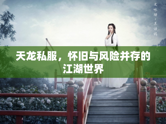 天龙私服，怀旧与风险并存的江湖世界