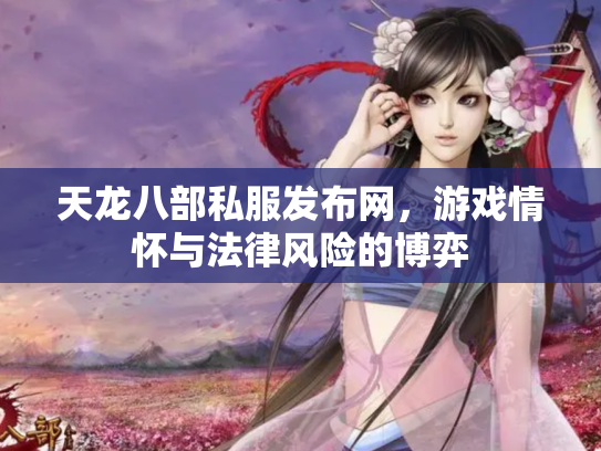 天龙八部私服发布网，游戏情怀与法律风险的博弈