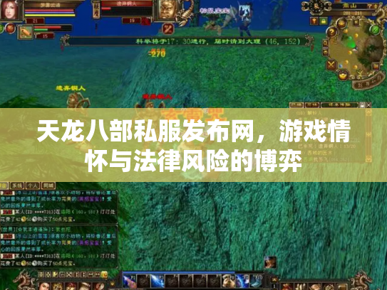 天龙八部私服发布网，游戏情怀与法律风险的博弈