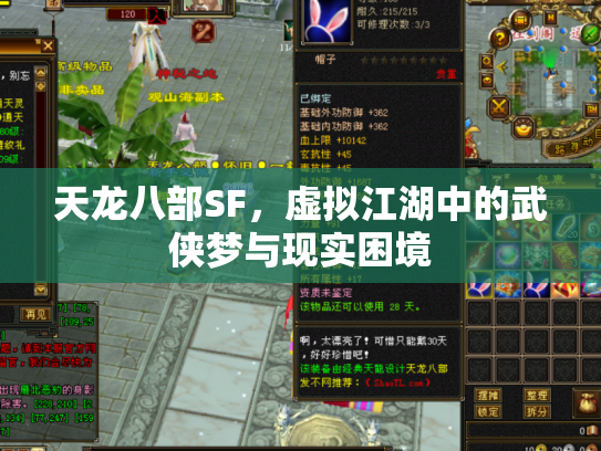 天龙八部SF，虚拟江湖中的武侠梦与现实困境