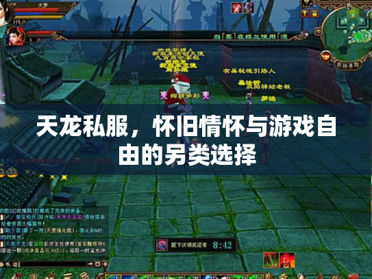 天龙私服，怀旧情怀与游戏自由的另类选择
