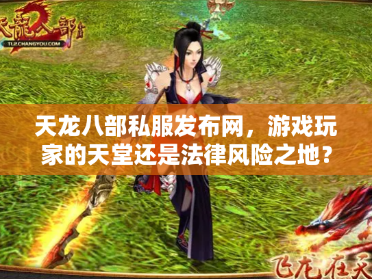 天龙八部私服发布网，游戏玩家的天堂还是法律风险之地？