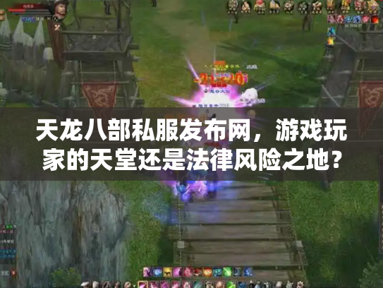 天龙八部私服发布网，游戏玩家的天堂还是法律风险之地？