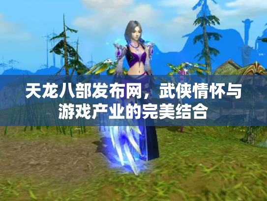 天龙八部发布网，武侠情怀与游戏产业的完美结合
