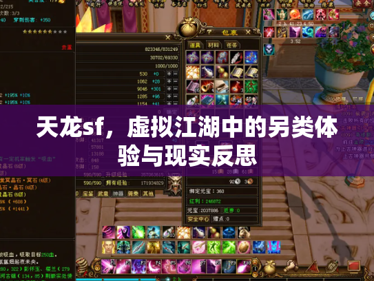 天龙sf，虚拟江湖中的另类体验与现实反思