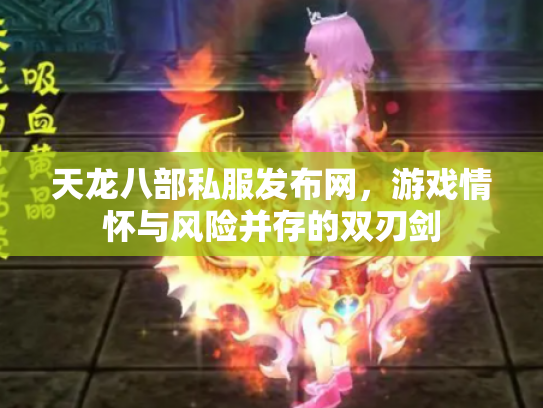 天龙八部私服发布网，游戏情怀与风险并存的双刃剑