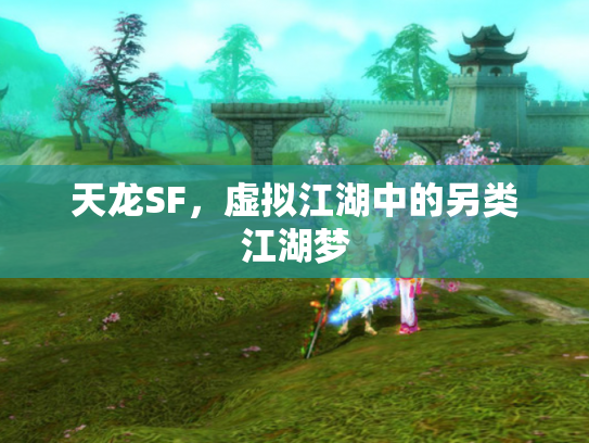 天龙SF，虚拟江湖中的另类江湖梦