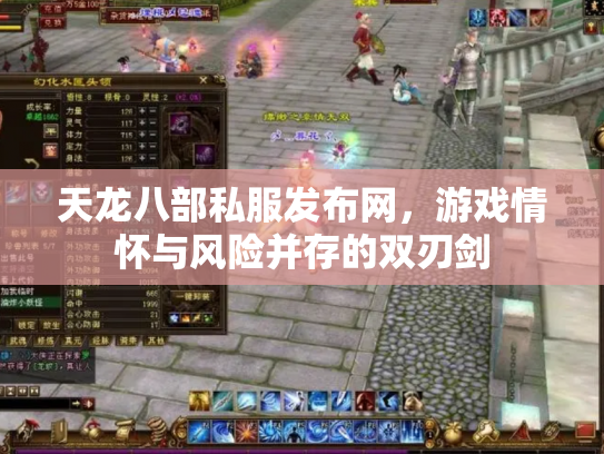 天龙八部私服发布网，游戏情怀与风险并存的双刃剑