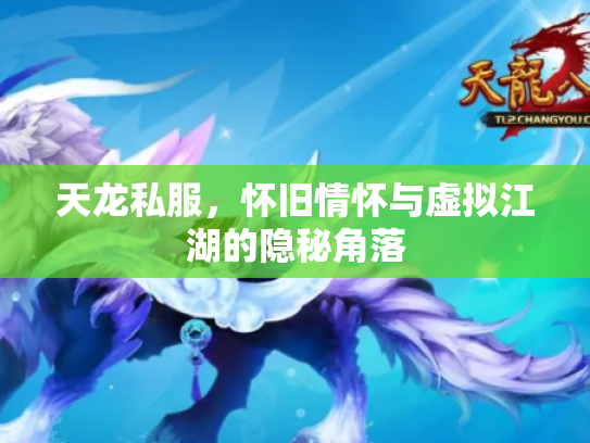 天龙私服，怀旧情怀与虚拟江湖的隐秘角落