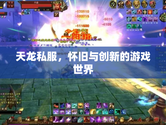 天龙私服，怀旧与创新的游戏世界
