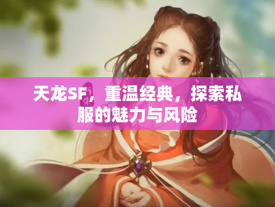 天龙SF，重温经典，探索私服的魅力与风险