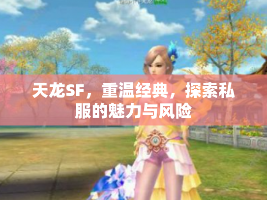 天龙SF，重温经典，探索私服的魅力与风险