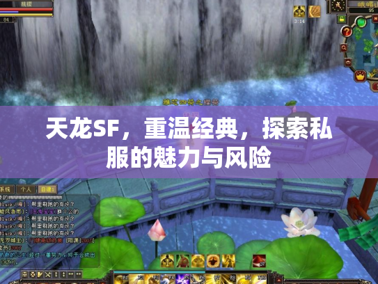 天龙SF，重温经典，探索私服的魅力与风险