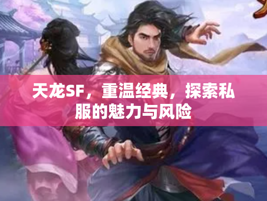 天龙SF，重温经典，探索私服的魅力与风险