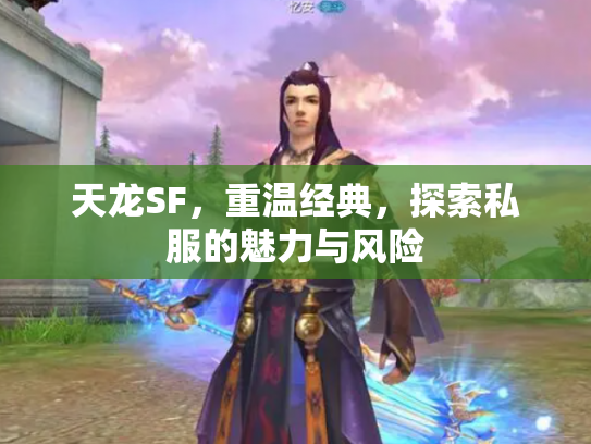 天龙SF，重温经典，探索私服的魅力与风险