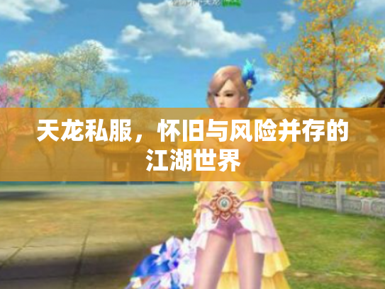 天龙私服，怀旧与风险并存的江湖世界