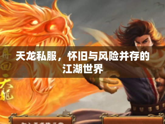 天龙私服，怀旧与风险并存的江湖世界