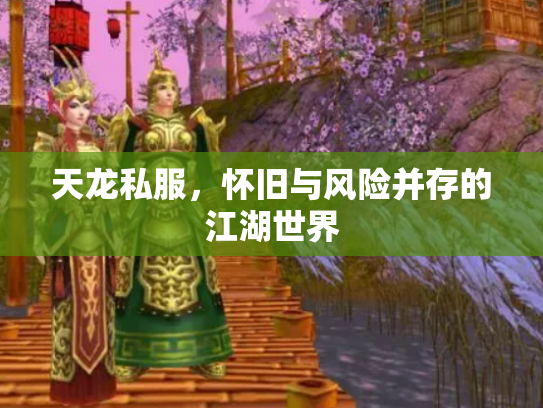 天龙私服，怀旧与风险并存的江湖世界