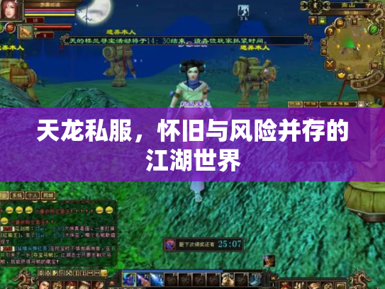 天龙私服，怀旧与风险并存的江湖世界