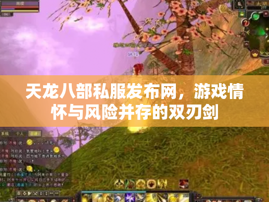 天龙八部私服发布网，游戏情怀与风险并存的双刃剑