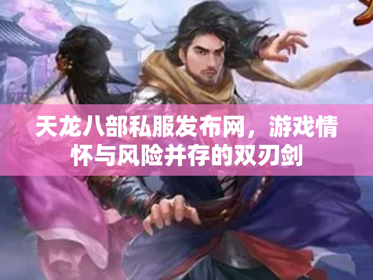 天龙八部私服发布网，游戏情怀与风险并存的双刃剑