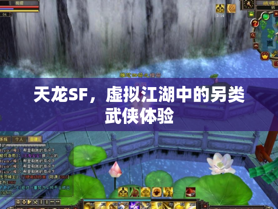 天龙SF，虚拟江湖中的另类武侠体验