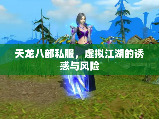 天龙八部私服，虚拟江湖的诱惑与风险