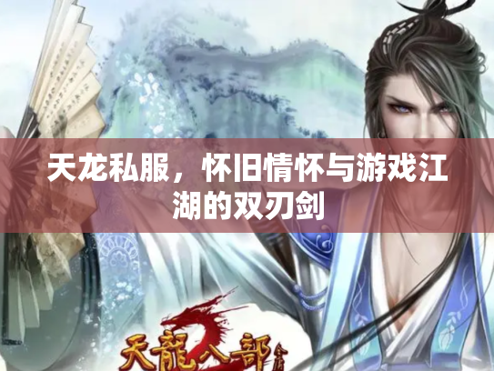 天龙私服，怀旧情怀与游戏江湖的双刃剑